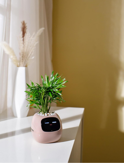 iPlant SmartPot