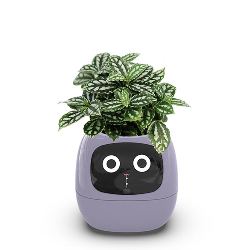 iPlant SmartPot