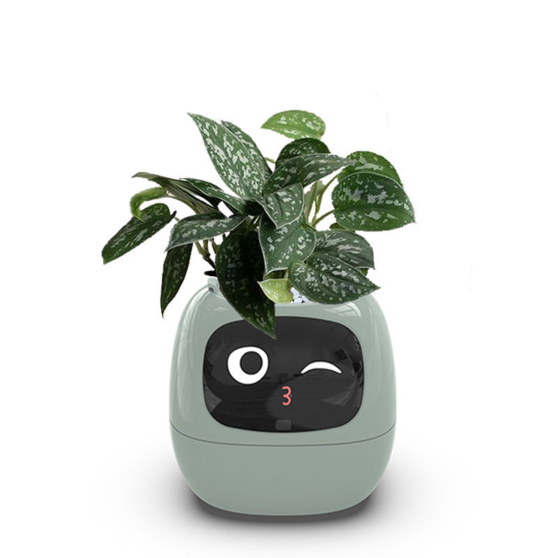 iPlant SmartPot