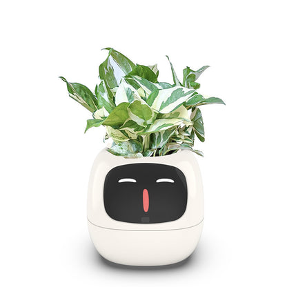 iPlant SmartPot