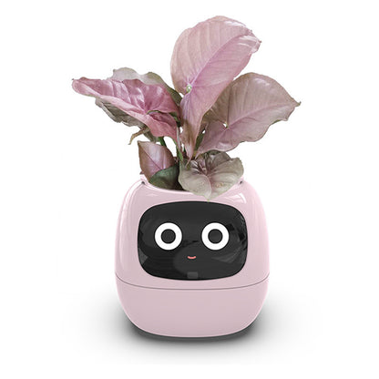 iPlant SmartPot